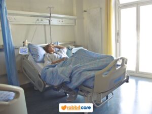 Rabbit Care Blog Image 88336