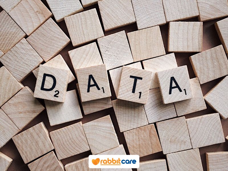 Thực chất sự cố CIC bị tấn công