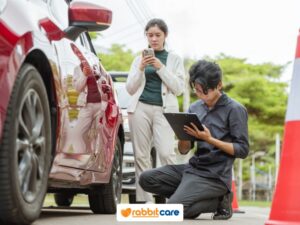 Rabbit Care Blog Image 88574