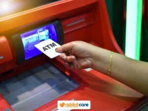 Rabbit Care Blog Image 88578