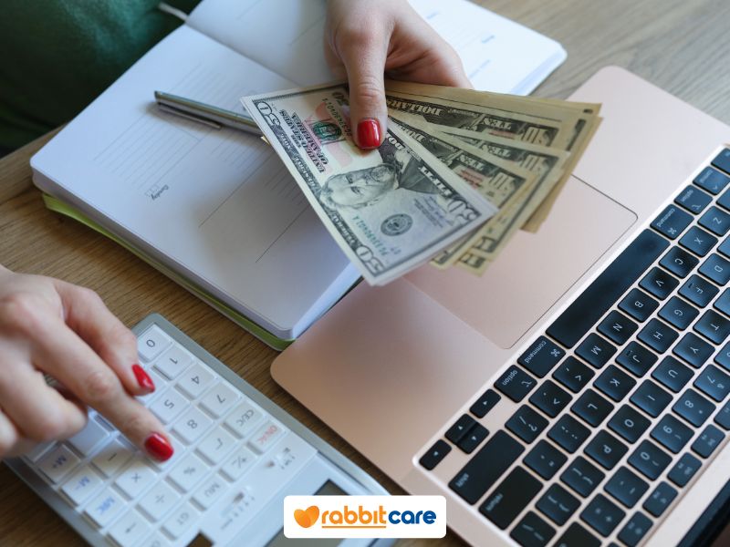 Rabbit Care Blog Image 88585