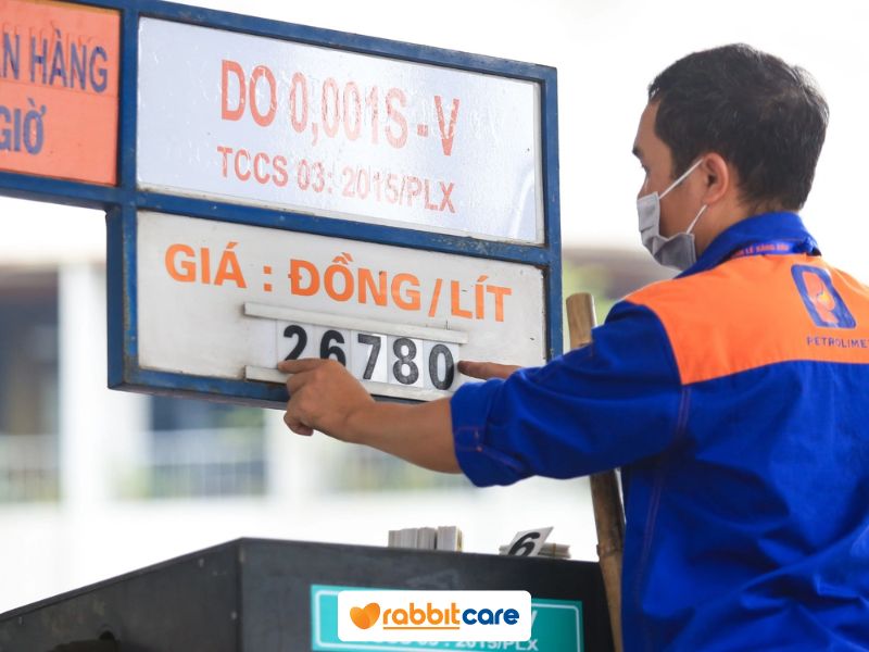 Rabbit Care Blog Image 88670